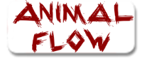 ANIMAL FLOW